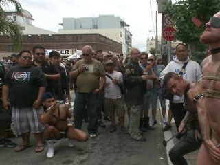 Dore Alley Pig